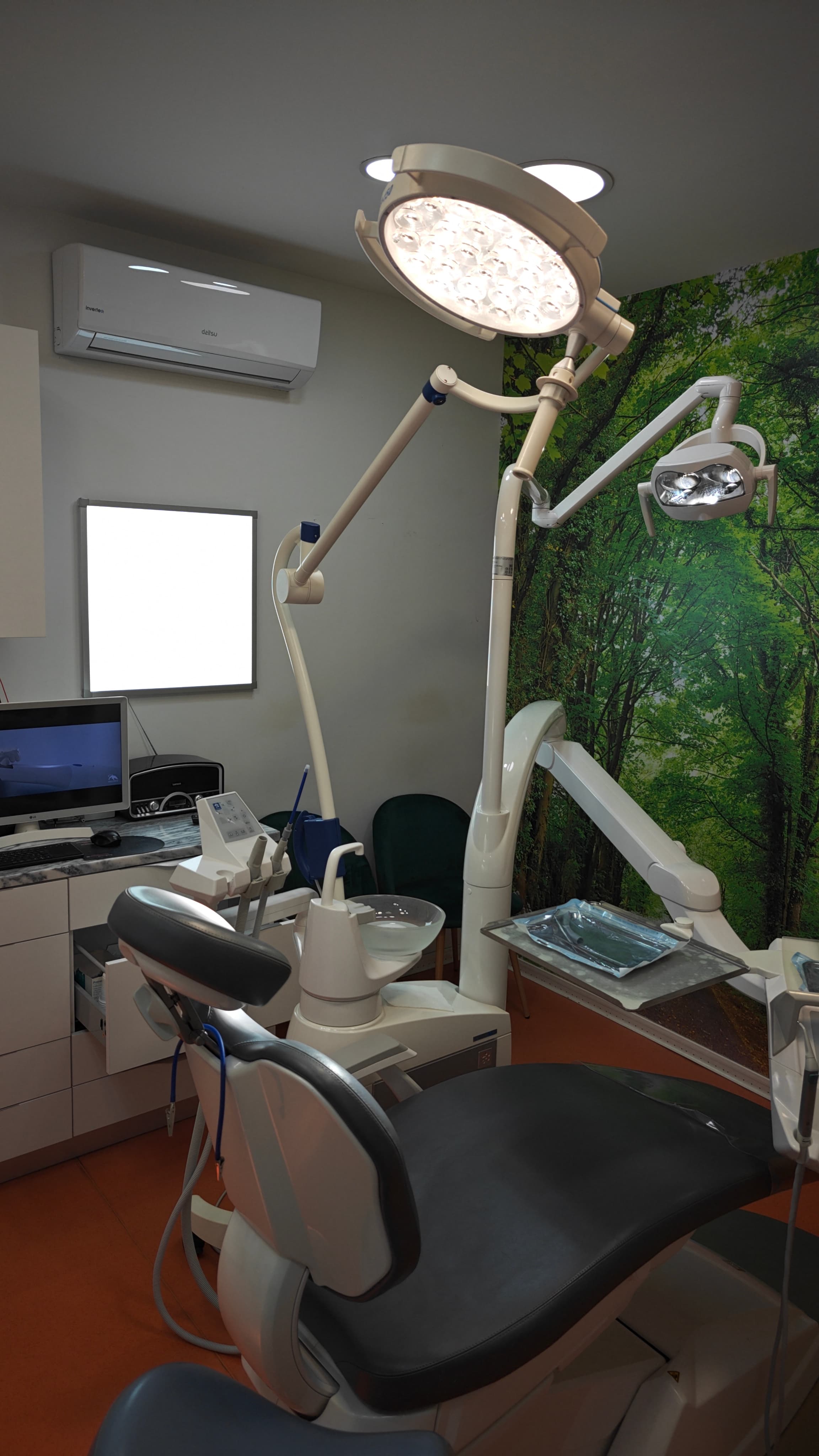 Equilíbrio e Bem-Estar Oral